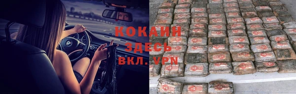 прущие крисы Вяземский