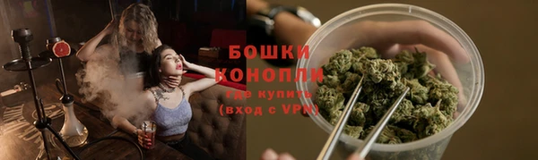 прущие крисы Вяземский