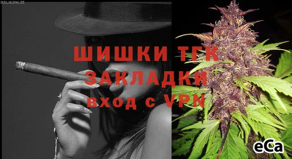 ПСИЛОЦИБИНОВЫЕ ГРИБЫ Горнозаводск