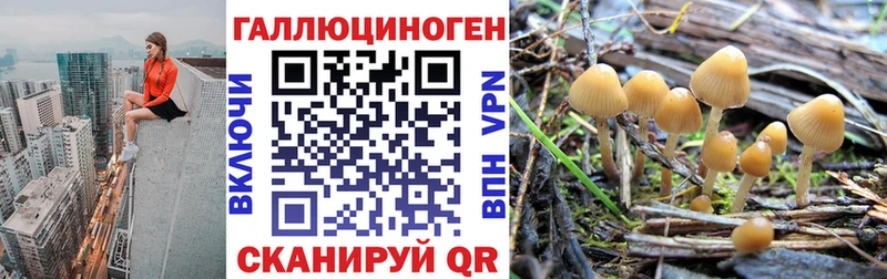 MEGA вход Дальнереченск Псилоцибиновые грибы Psilocybe дарнет шоп