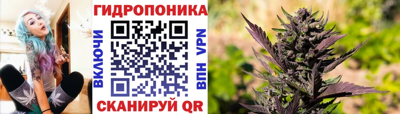 Шишки марихуана план  ссылка на мегу ссылки  Дальнереченск 